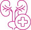 What is&nbsp;Urology